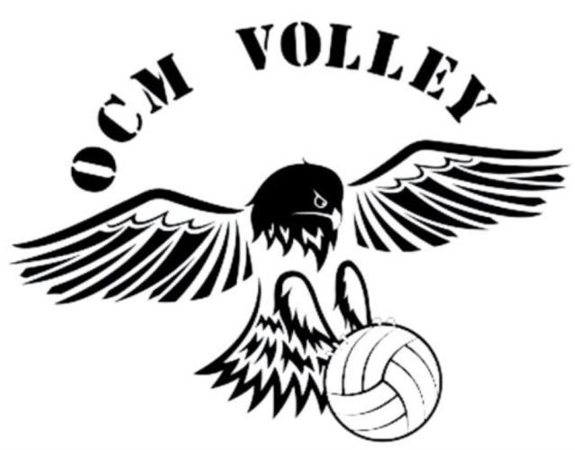 Logo OCM Volley